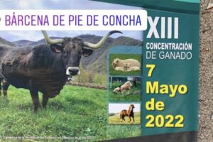 Ferias de ganado en Cantabria 2022: la oportunidad perfecta para conocer la tradición rural