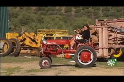 Cazando ofertas: Cabezas tractoras usadas de particulares en Andalucía